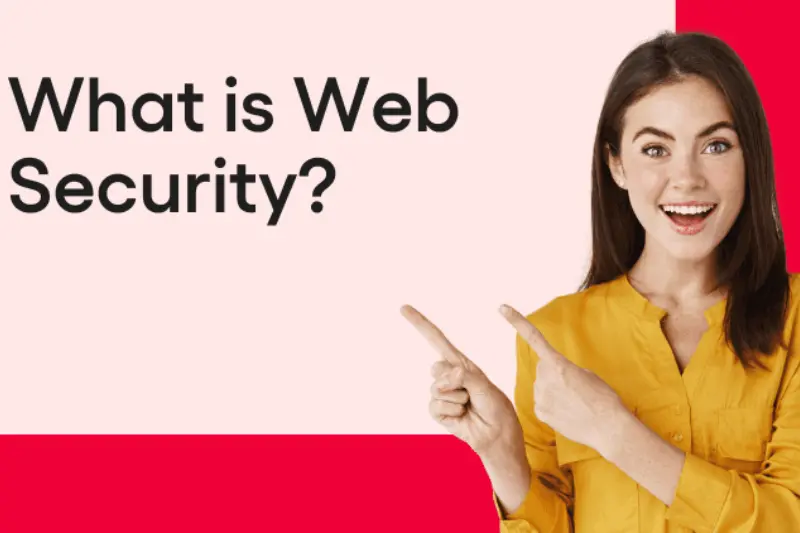 definition of web security